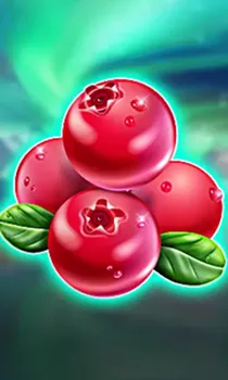 Winterberries